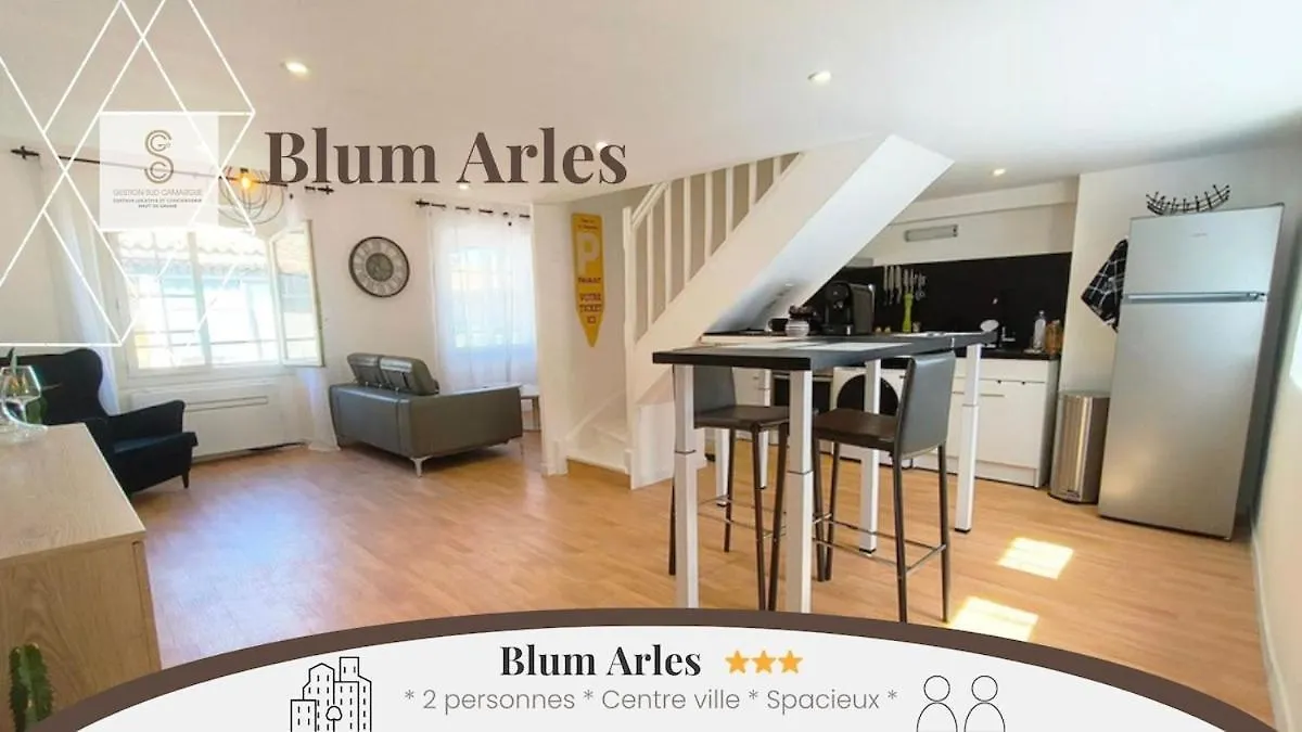 Ferienwohnung Blum Arles Centre